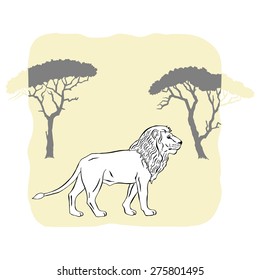  Lion between savannah trees. Vector Illustration