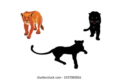 Lion and black panthers big cats, isolated on white vector