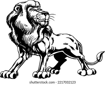 Lion Black and White Vector Illustration