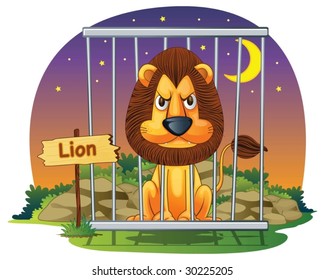 lion in a cage at night