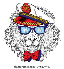 Lion in the captain's cap. Vector illustration.