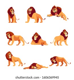 Lion character in different actions set of cartoon vector Illustrations on a white background. Proud powerful lion.