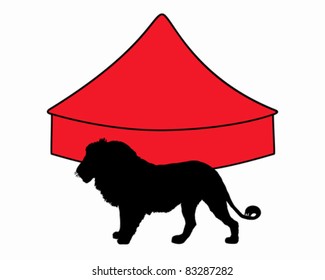 Lion in circus