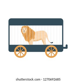 lion   circus   animal  
