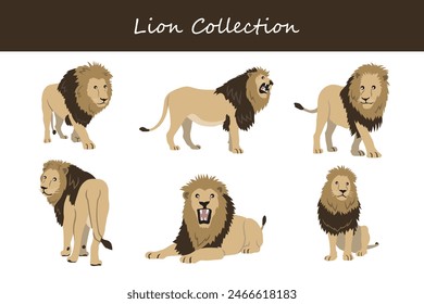 lion collection. lion in different poses. Vector illustration.