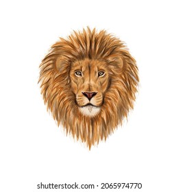 Lion. Colored realistic illustration of a lion head on a white background