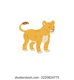 Lion cub of Africa and India wild predatory animal, flat vector illustration isolated on white background. African savannah lion little baby character.