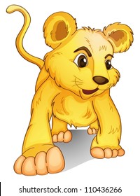 Lion cub on a white background