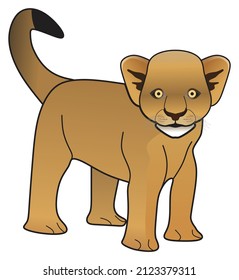 lion cub vector drawing on isolated white background cartoon mammal animal pose character standing walking head face adult male logo sign icon object illustration savanna wildlife jungle king concept