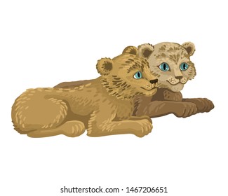 Lion cubs, small children lions lie, two friends, wild animals. Childish illustration of wild cats. Vector flat cartoon characters illustration