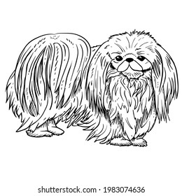 Löwenhund, Vektorgrafik, schwarz, einzeln auf weißem Hintergrund