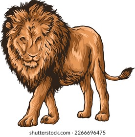 Lion Drawings Animals wildlife Colorful Nature beauty