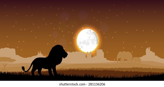 Lion in the evening. Vector