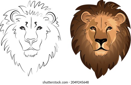 lion face in color and black outline in vector