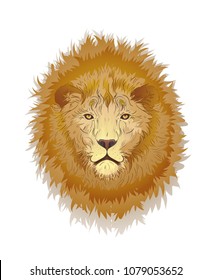 lion face isolated on the white, vector