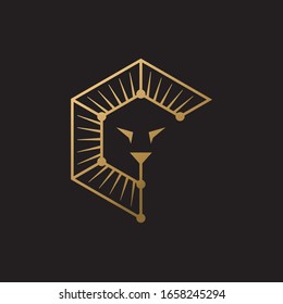 lion face symbol icon design