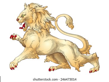 Lion Fantasy Animal vector