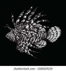 The lion fish hand draw on black background
