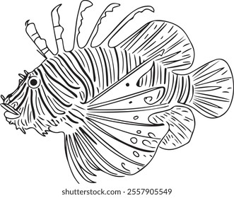 Lion fish: Striking Striped Predator with Unique Fins for Marine Photography