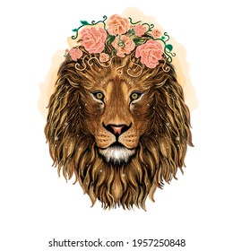 Lion and flowers  Color  graphic  hand  drawn portrait lion looking ahead white background  King head isolated white background 