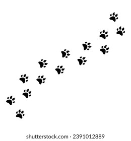 Lion foot black Prints on White Background. Vector Illustration