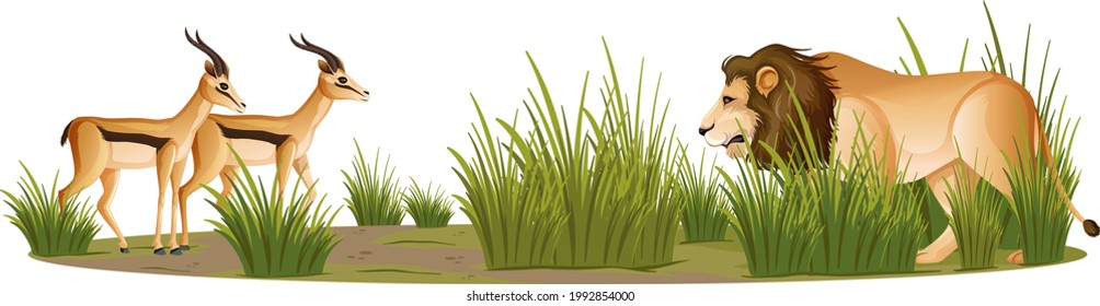 A Lion and Gazelles isolated on white background illustration