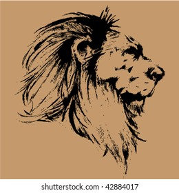 lion hand drawing