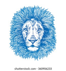 Lion hand drawn vector illustration