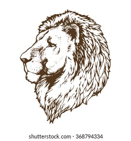 lion hand drawn vector sketch