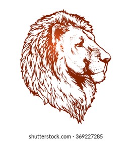 lion hand drawn vector sketch