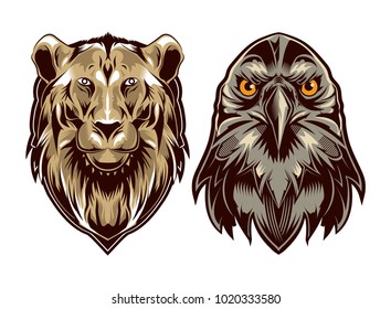 Lion And Hawk Vector Illustration detailed Can Be Use For T-Shirt Design, Company, Emblem Etc.