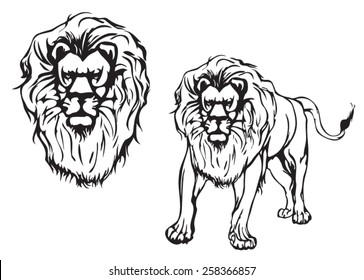 Lion and Lion head
