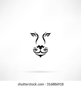 Lion head