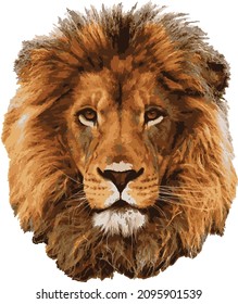 Lion head art vector illustration