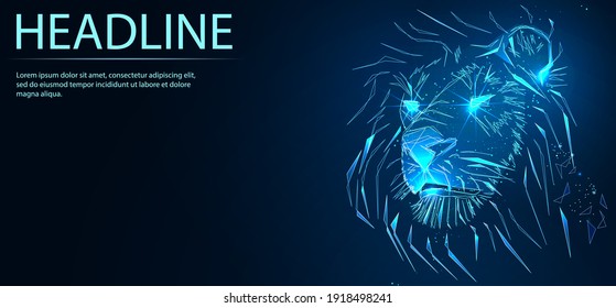 Lion head. Digital low poly wireframe of futuristic vector. Finance and business concept. 