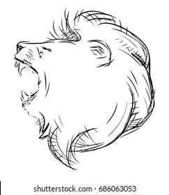 Lion head drawing sketch