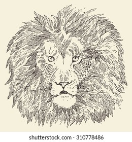 Lion head ethnic engraving style, vintage illustration, hand drawn, sketch
