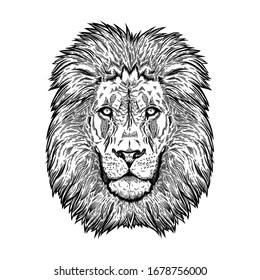 Lion head face line art engraving illustration.  