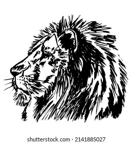 Cabeza y cara de león, depredador, animal salvaje, vida silvestre, diseño, vector, ilustración en color negro y blanco, aislado en fondo blanco