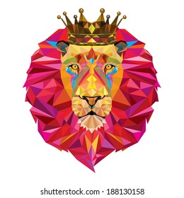 Lion head in geometric pattern