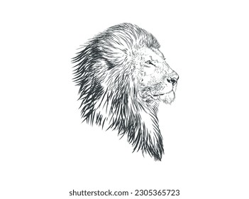 lion head hand drawing vector illustration, side view