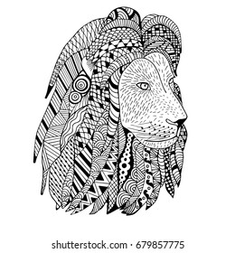 Lion head hand drawn. Doodle . Object isolated on white.