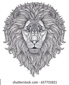 Lion head hand drawn in lines isolated on white background. Decorative doodle vector illustration. Perfect for postcard, poster, print, greeting card, t-shirt, phone case design