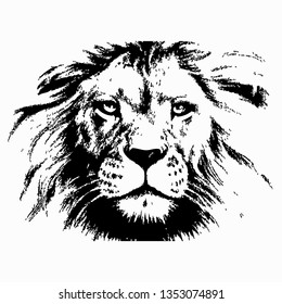 Lion head hand drawn vector illustration. Wild animal