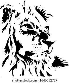 Lion head. Hand drawn vector