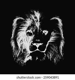 lion head. hand drawn. vector illustration