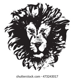 Lion head. Hand drawn. Vector background