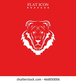 Lion head icon. Logo template illustration. Animal image.