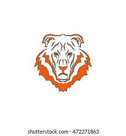 Lion head icon. Logo template illustration. Animal image.
