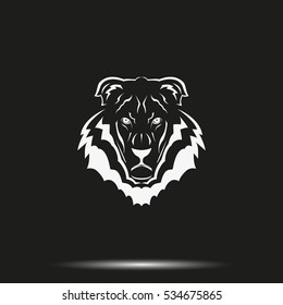 Lion head icon. Logo template illustration. Animal image.